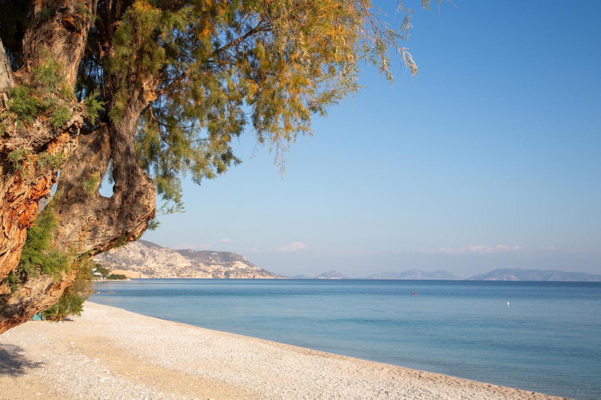 Kineta Seaside Summer Apartments Luaran gambar